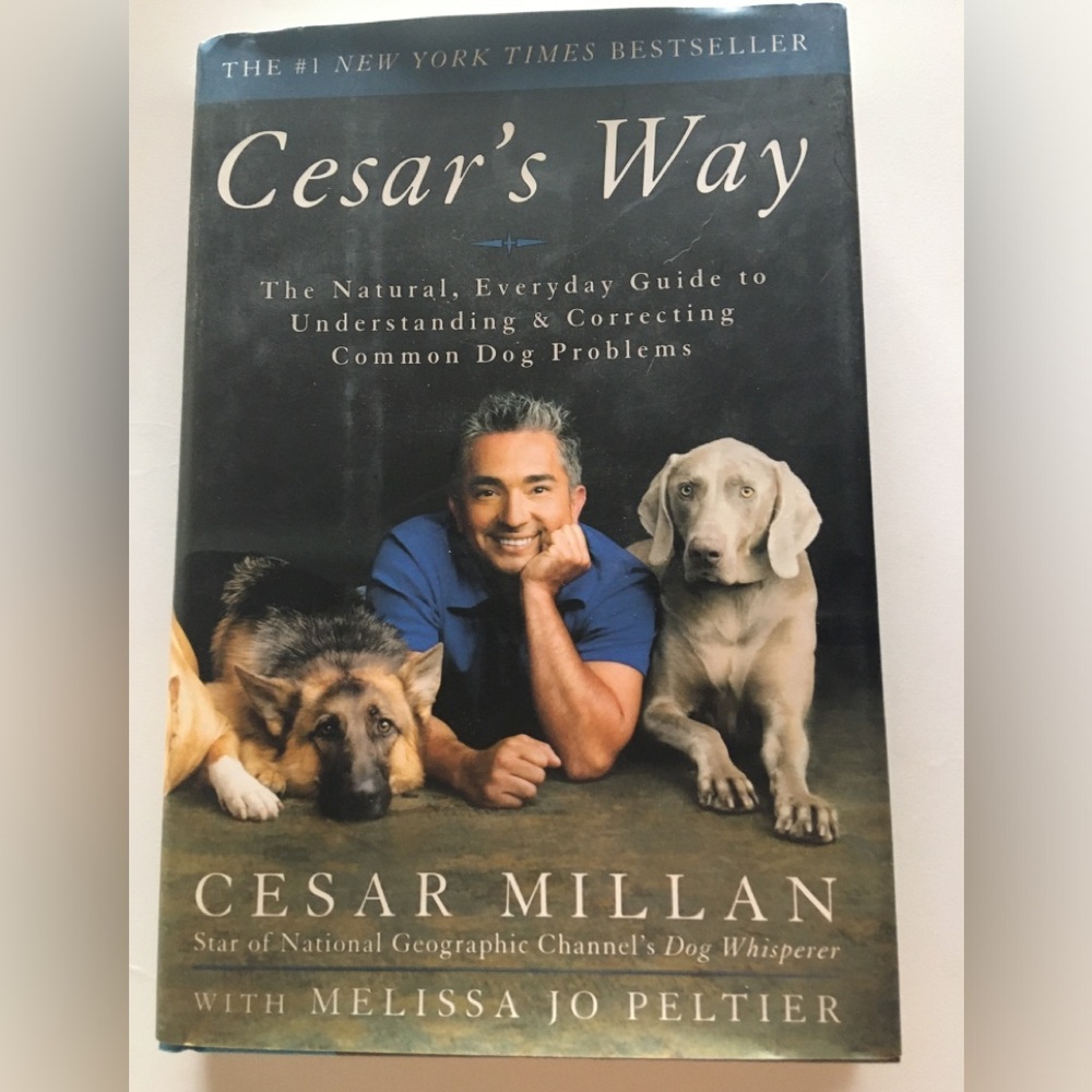 Cesar's Way Book by Cesar Millan New Dog Training Guide